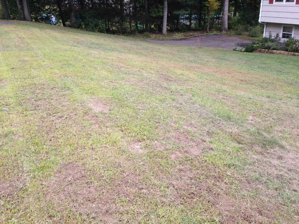 Custom landscape design experts serving Ellington, CT - Grassroots