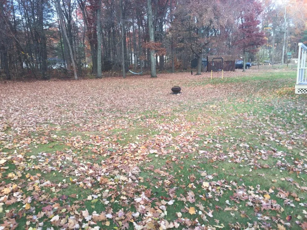 Expert outdoor landscaping for year-round maintenance across Ellington, CT - Grassroots