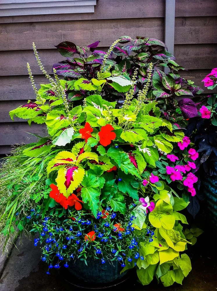 Reliable residential landscaping in Eugene, OR by GrassRoots Landscape