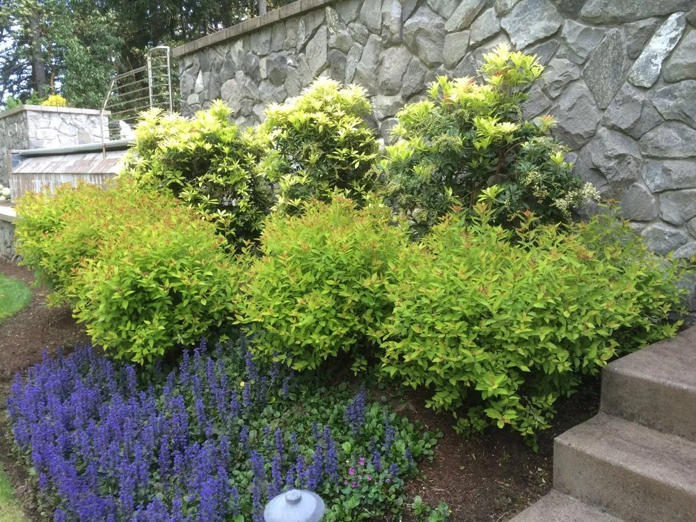 Expert landscaping services with custom design across Eugene, OR - GrassRoots Landscape
