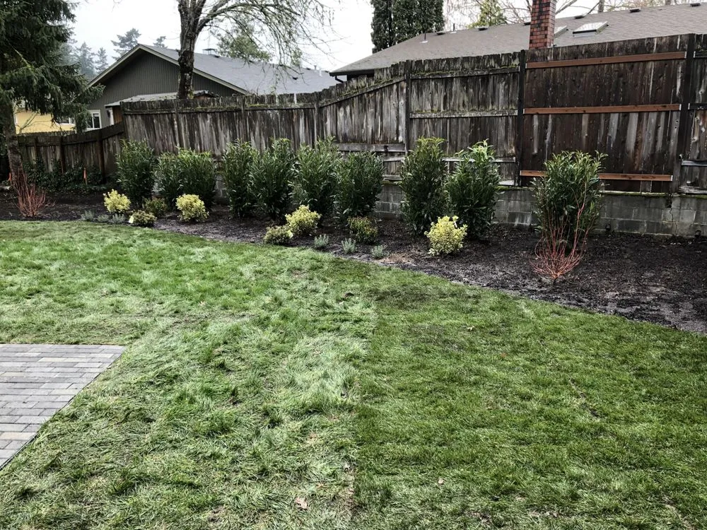 Reliable yard cleanup service for year-round maintenance in West Linn, OR by GrassRoots Landscape Maintenance
