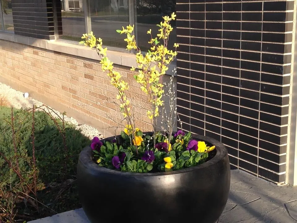 Top-rated landscape design in Roselle, IL by Grassroots Landscape Specialties