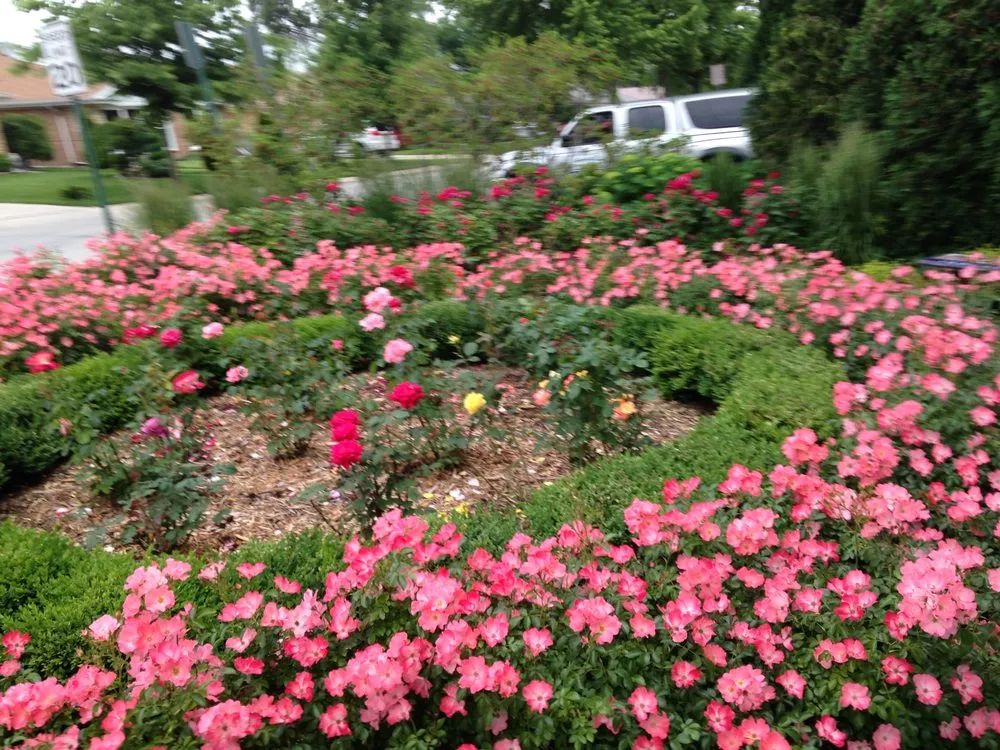 Professional landscape installation for residential properties in Roselle, IL by Grassroots Landscape Specialties