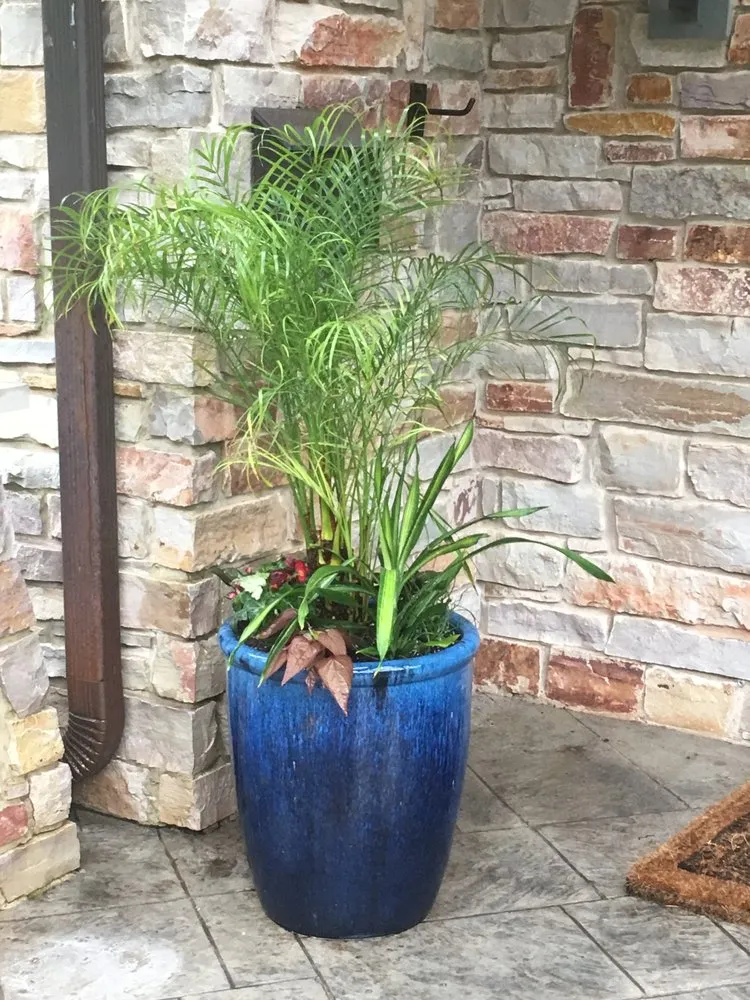 Expert yard cleanup service in Roselle, IL by Grassroots Landscape Specialties