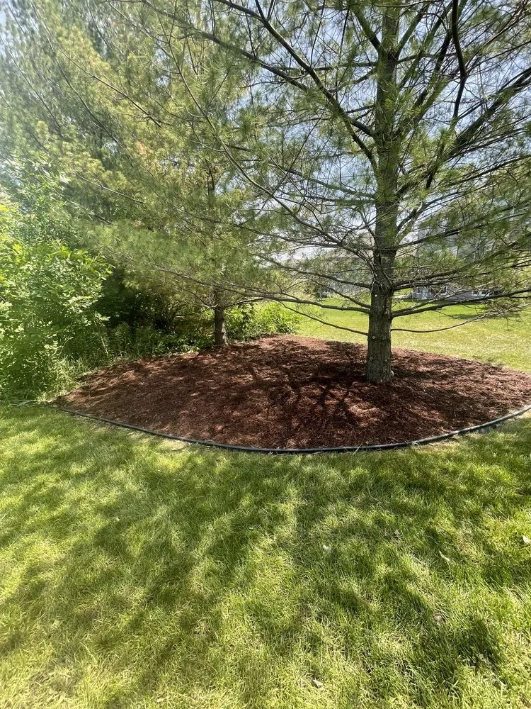 Reliable residential landscaping near you in Medina, MN by Grassroots Landscaping