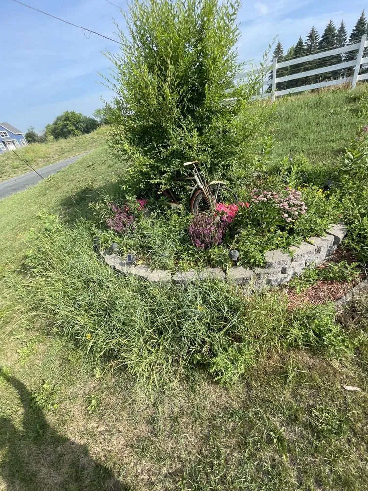 Top-rated landscape design for outdoor upgrades across Medina, MN - Grassroots Landscaping