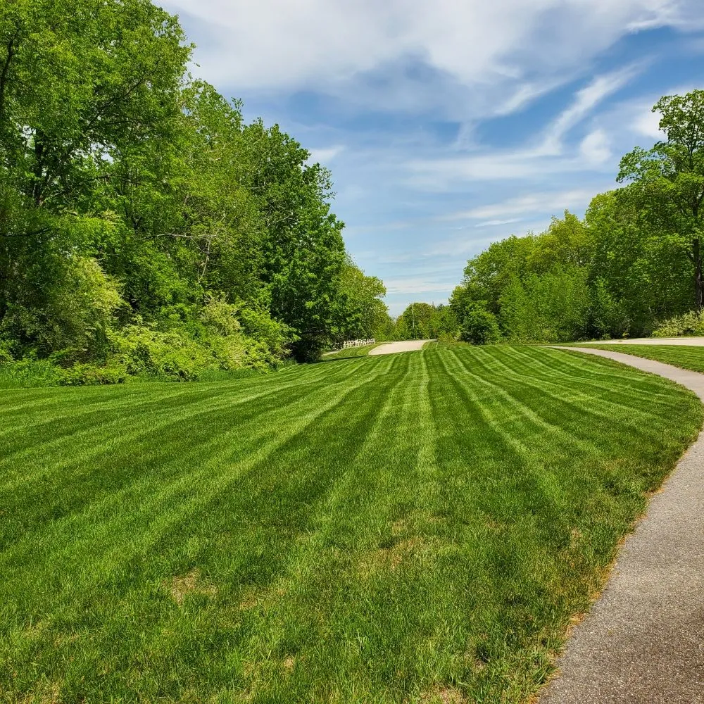 Professional landscaping services in Sanford, ME by Grassroots Landscaping