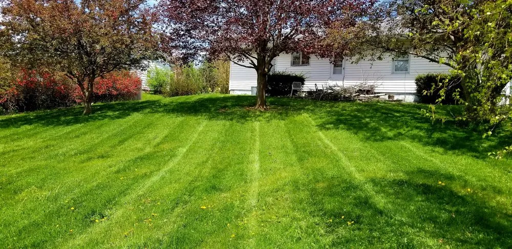 Expert yard maintenance for year-round maintenance in Mayfield, NY by Grassroots Lawn Specialists