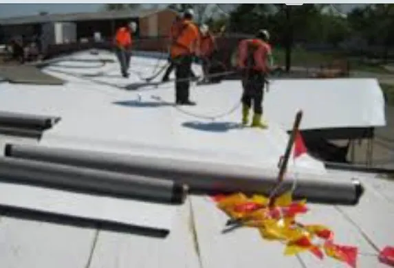 Trusted yard cleanup service in Wheat Ridge, CO - Grassroots Single Ply Roofing Systems