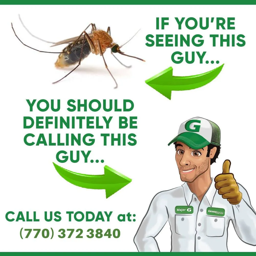 Trusted landscape design for residential properties across Dallas, GA - GrassRoots Tree & Turf Care