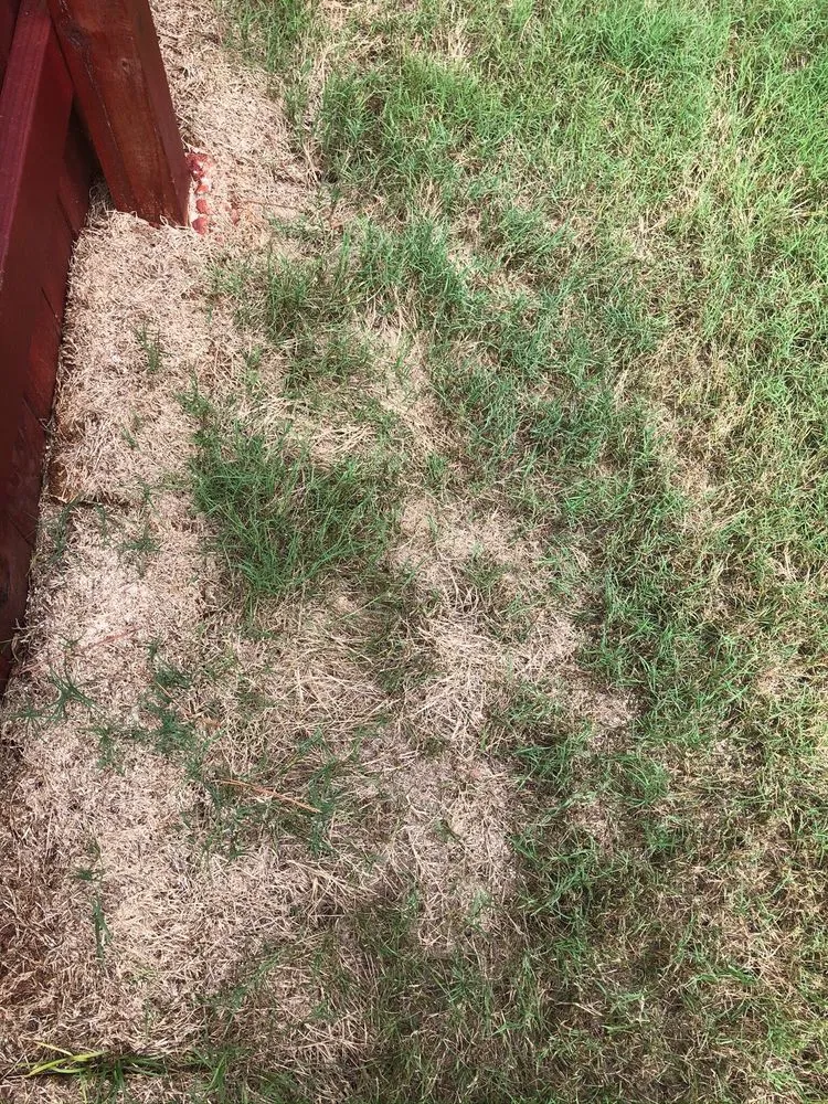 Reliable garden landscaping in Dallas, GA - GrassRoots Tree & Turf Care