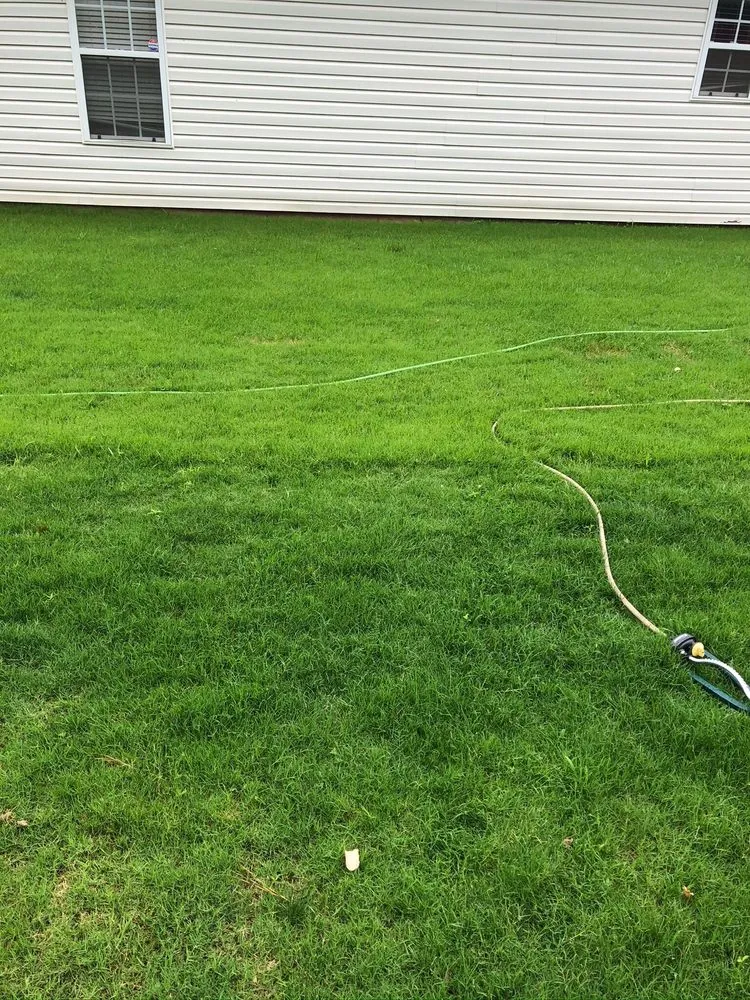 Affordable yard maintenance in Dallas, GA - GrassRoots Tree & Turf Care