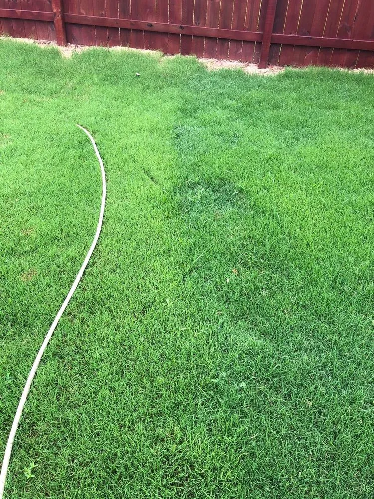 Professional residential landscaping with custom design in Dallas, GA by GrassRoots Tree & Turf Care