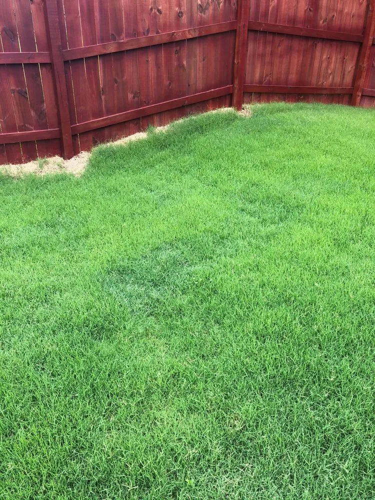 Professional landscaping services in Dallas, GA by GrassRoots Tree & Turf Care