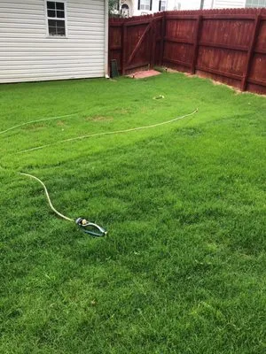 GrassRoots Tree & Turf Care Logo