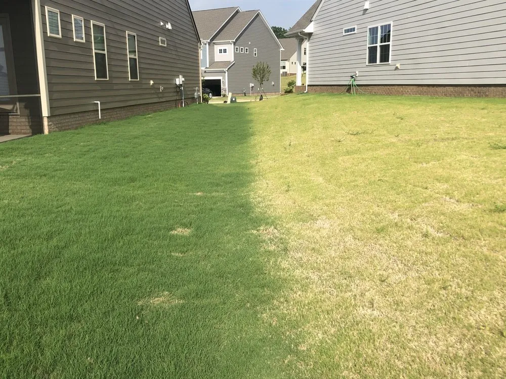 Reliable yard cleanup service experts serving Charlotte, NC - GrassRoots Tree and Turf Care