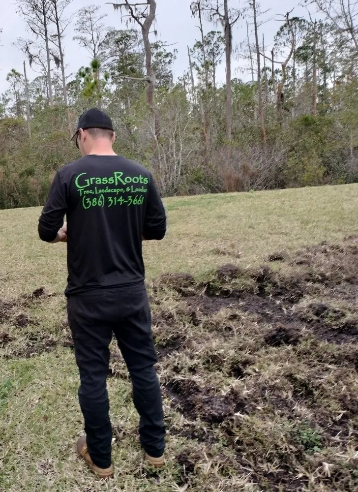Top-rated residential landscaping for year-round maintenance across New Smyrna Beach, FL - Grassroots Tree, Landscape, & Loader Services
