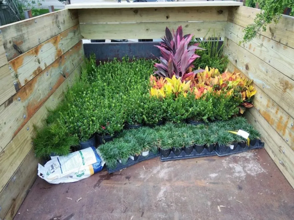 Reliable outdoor landscaping for year-round maintenance in New Smyrna Beach, FL by Grassroots Tree, Landscape, & Loader Services