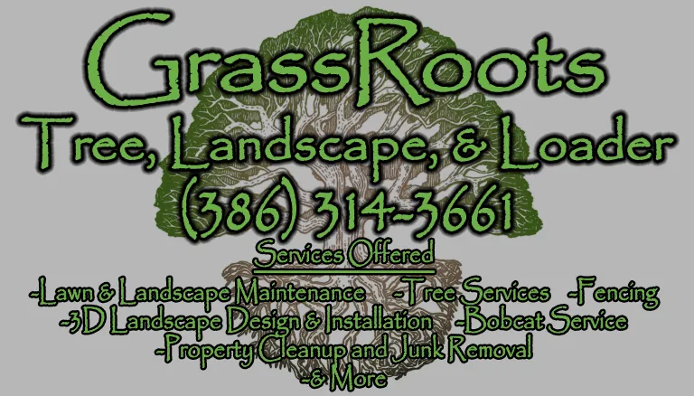 Affordable lawn care service experts serving New Smyrna Beach, FL - Grassroots Tree, Landscape, & Loader Services