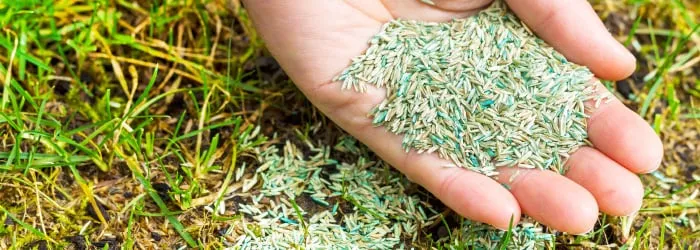 Reliable lawn care service experts serving Douglasville, GA - GrassRoots Turf