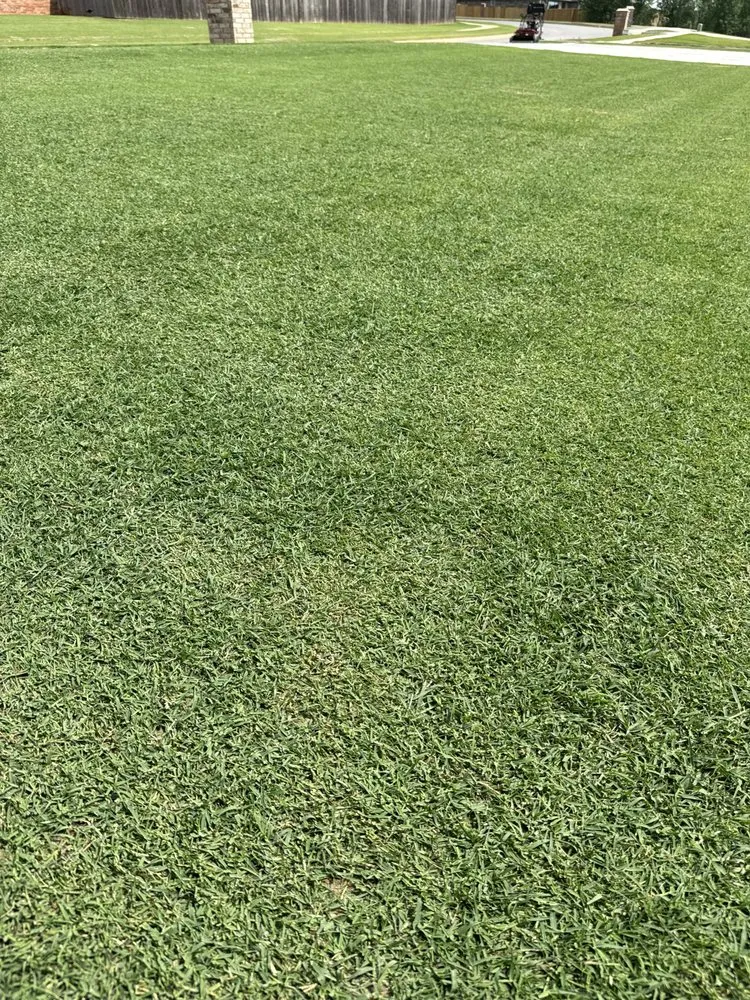 Reliable landscape installation in Oklahoma City, OK by GrassTacs