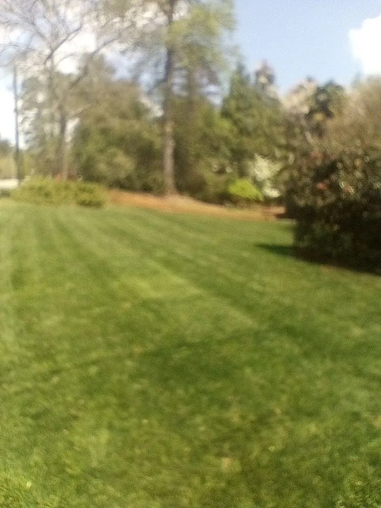 Reliable landscaping services in Bogart, GA - Grasstastic Landscaping