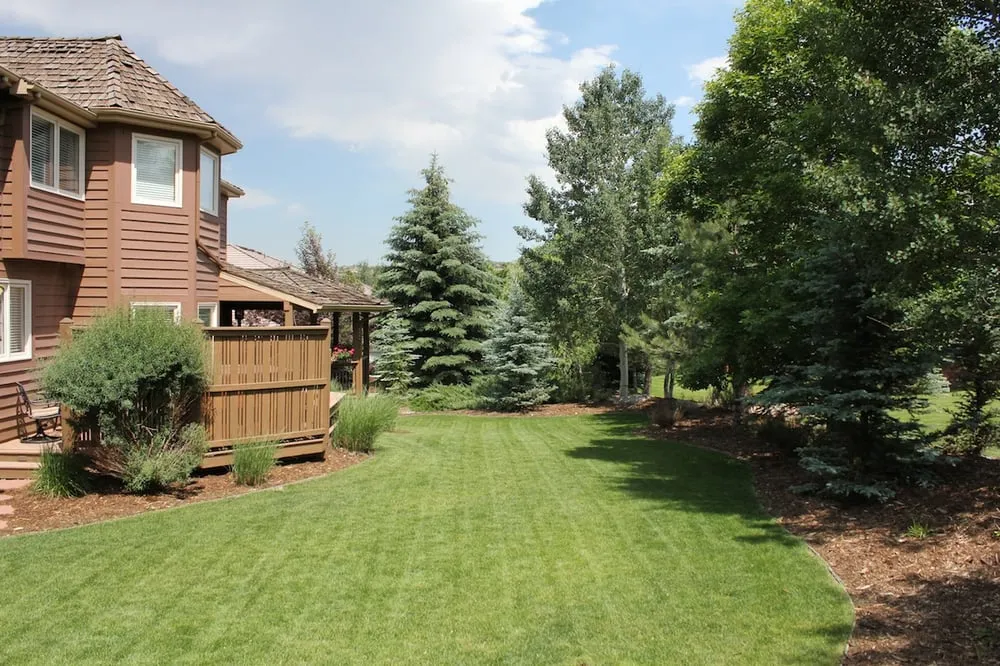Professional landscape installation for beautiful yards across Littleton, CO - Grassthetics