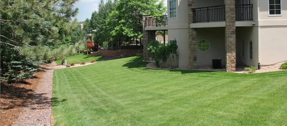 Custom outdoor landscaping with custom design across Littleton, CO - Grassthetics