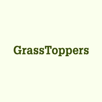 Expert yard cleanup service for year-round maintenance in Howard, OH by Grasstoppers