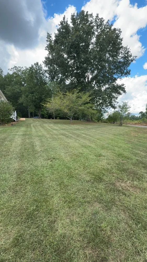 Reliable landscape installation for year-round maintenance in Springville, AL by Grasswerx Lawncare