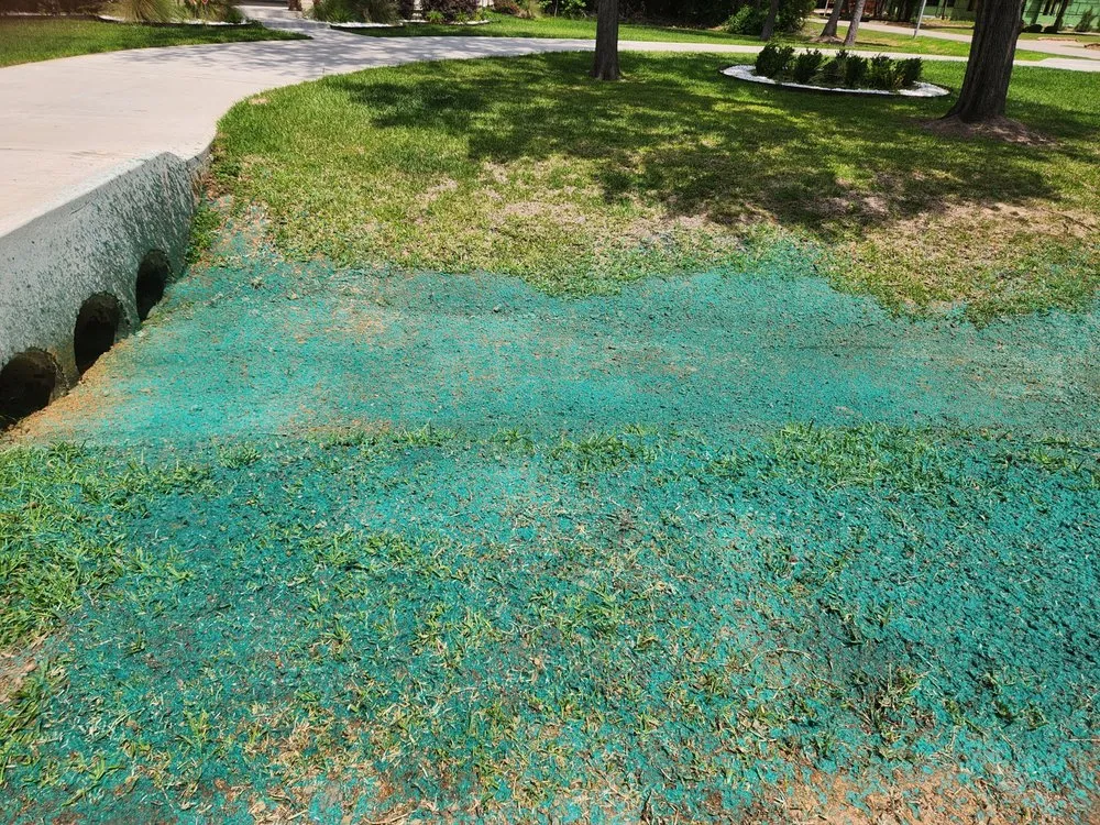 Top-rated yard cleanup service in Spring, TX by Grasswirx