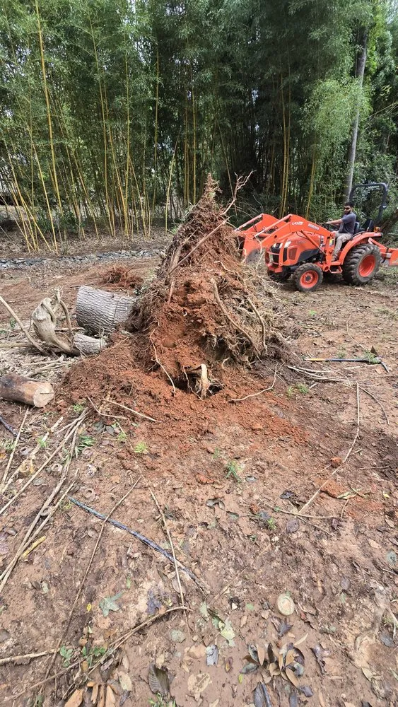 Custom lawn care service in Greenwood, SC by Grasswood Landscaping