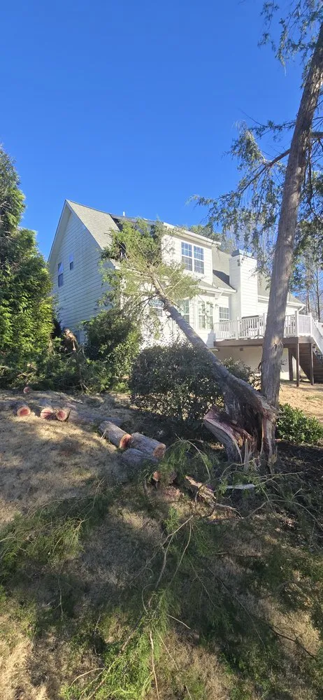 Expert garden landscaping for beautiful yards in Greenwood, SC by Grasswood Landscaping