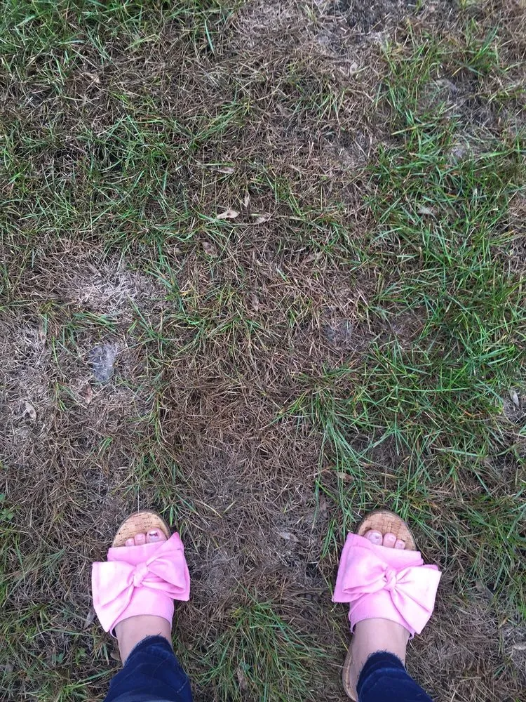 Professional yard maintenance for beautiful yards in Hummelstown, PA by Grassworks