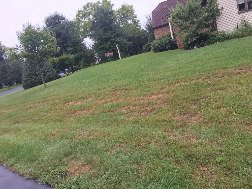 Affordable residential landscaping in Hummelstown, PA - Grassworks