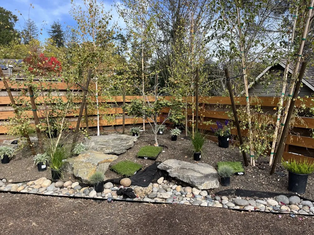 Top-rated lawn care service in Concord, CA by Grassworks Landscape