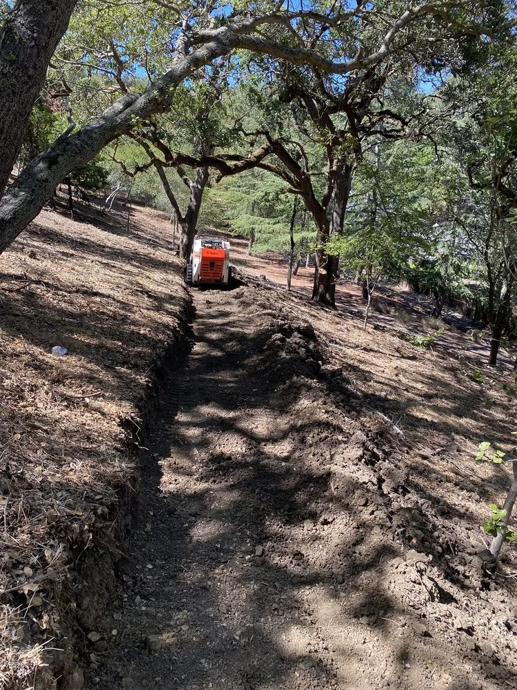 Reliable lawn mowing service in Concord, CA by Grassworks Landscape