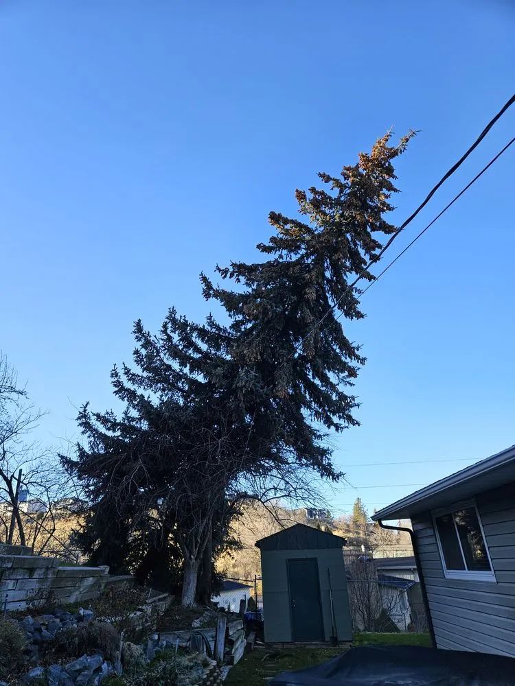 Expert yard maintenance experts serving Pocatello, ID - GrassworX 208