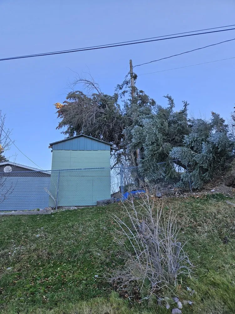 Professional yard cleanup service for beautiful yards in Pocatello, ID by GrassworX 208