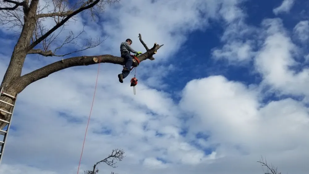 Expert lawn mowing service for beautiful yards in Pocatello, ID by GrassworX 208