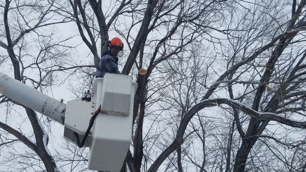 Top-rated landscaping services experts serving Pocatello, ID - GrassworX 208