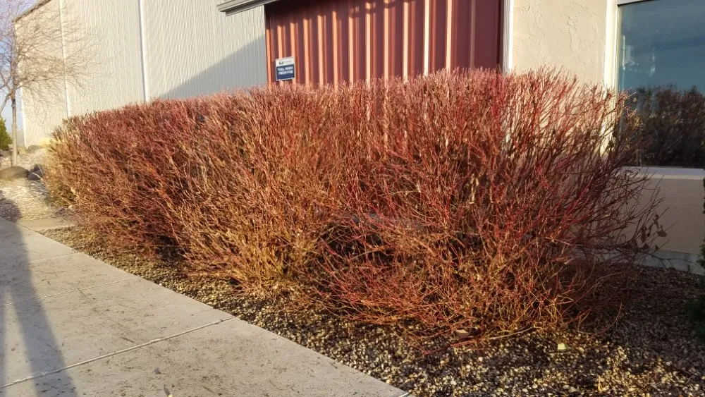 Top-rated landscape installation for year-round maintenance across Pocatello, ID - GrassworX 208