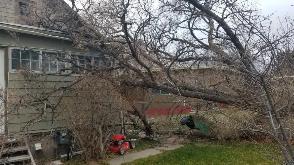 Top-rated lawn care service experts serving Pocatello, ID - GrassworX 208