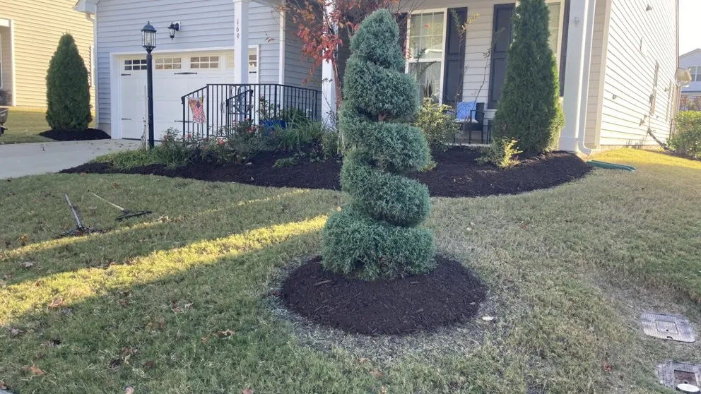 Professional yard maintenance in Knightdale, NC by GrassWorx Landscape Services