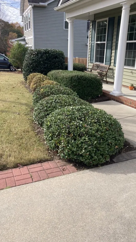 Reliable outdoor landscaping with custom design across Knightdale, NC - GrassWorx Landscape Services