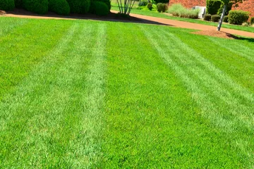 Reliable landscape design experts serving Baton Rouge, LA - Grassworxs Group