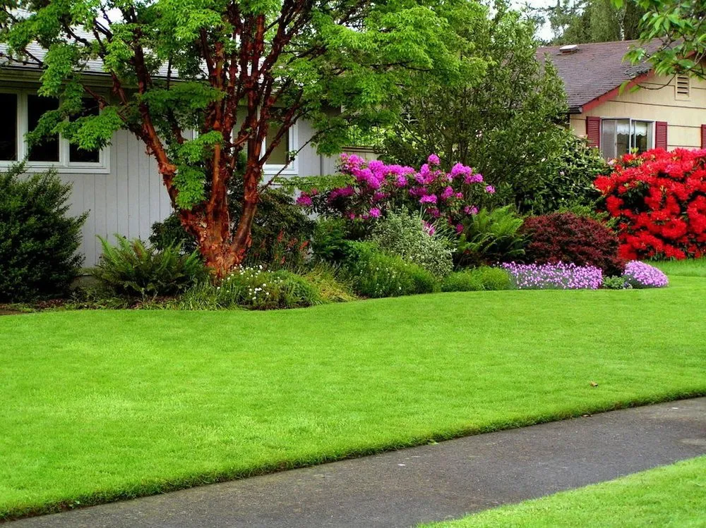 Reliable yard maintenance near you across Baton Rouge, LA - Grassworxs Group