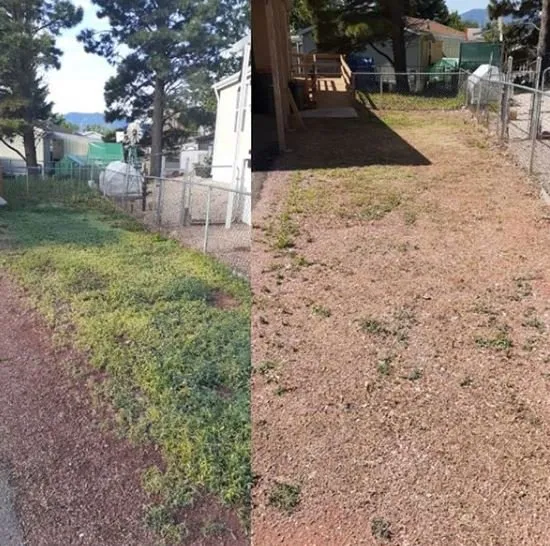 Reliable lawn mowing service with custom design in Colorado Springs, CO by Grassy Dream Lawn Maintenance Team