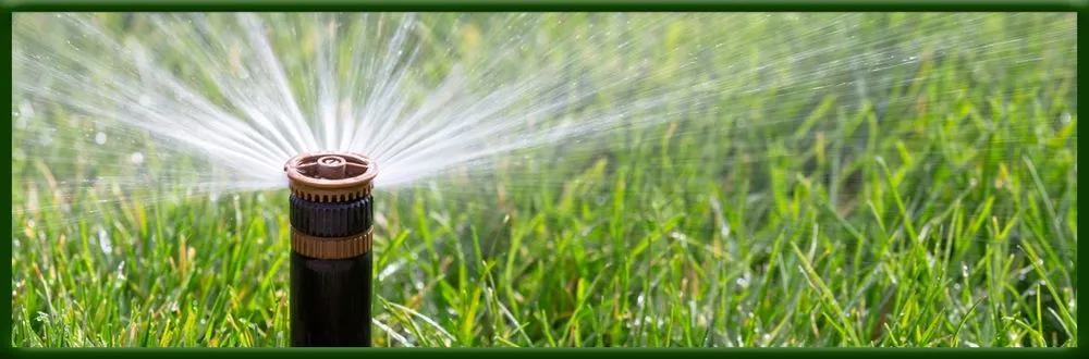 Expert landscaping services experts serving Colorado Springs, CO - Grassy Dream Lawn Maintenance Team