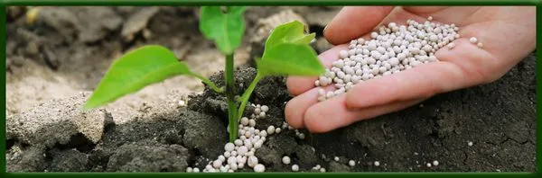 Grassy Dream Lawn Maintenance Team Logo